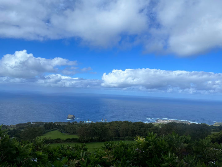 Bright blue sky with a few white clouds over a blue ocean with a coast that is green from plant life