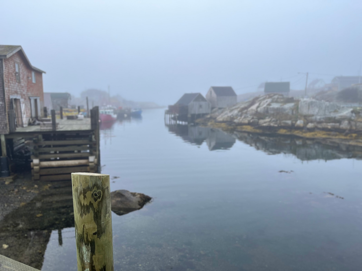 The cove
