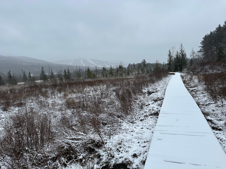 Trail
